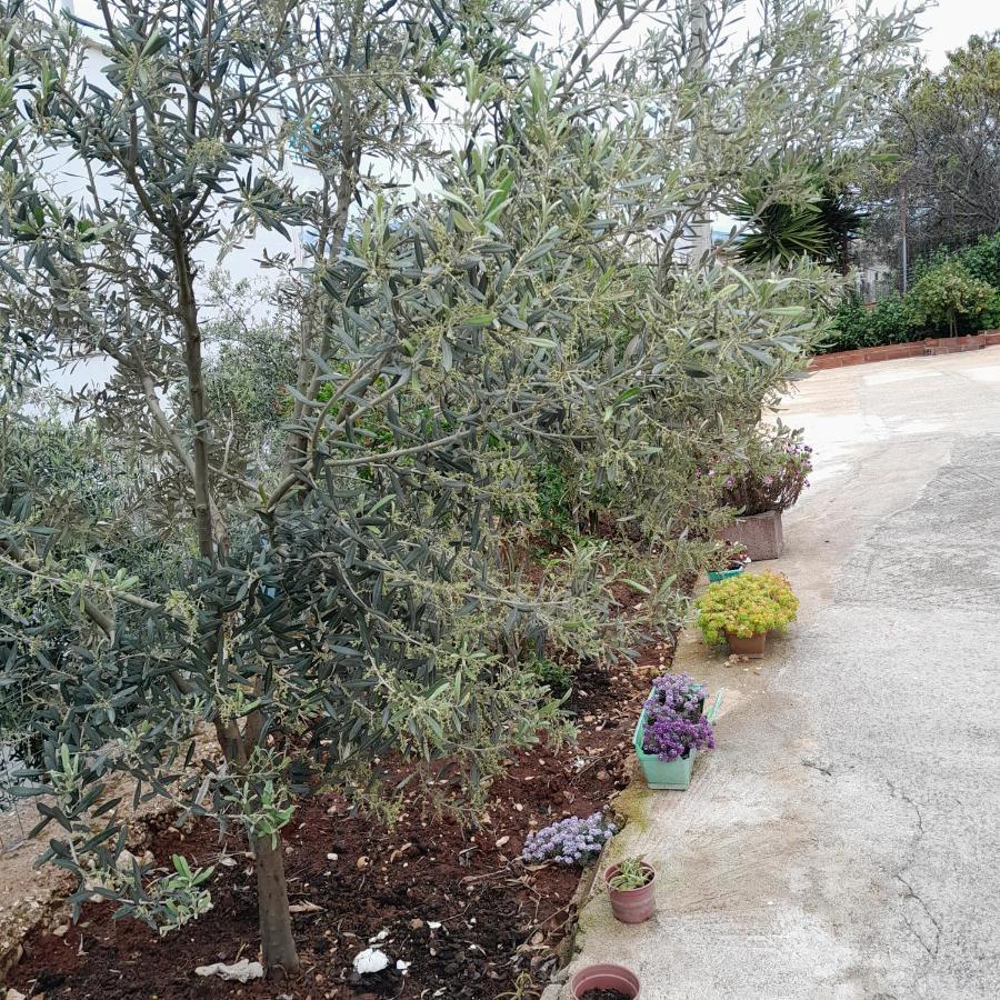 Denni'S Home Sarandë 外观 照片