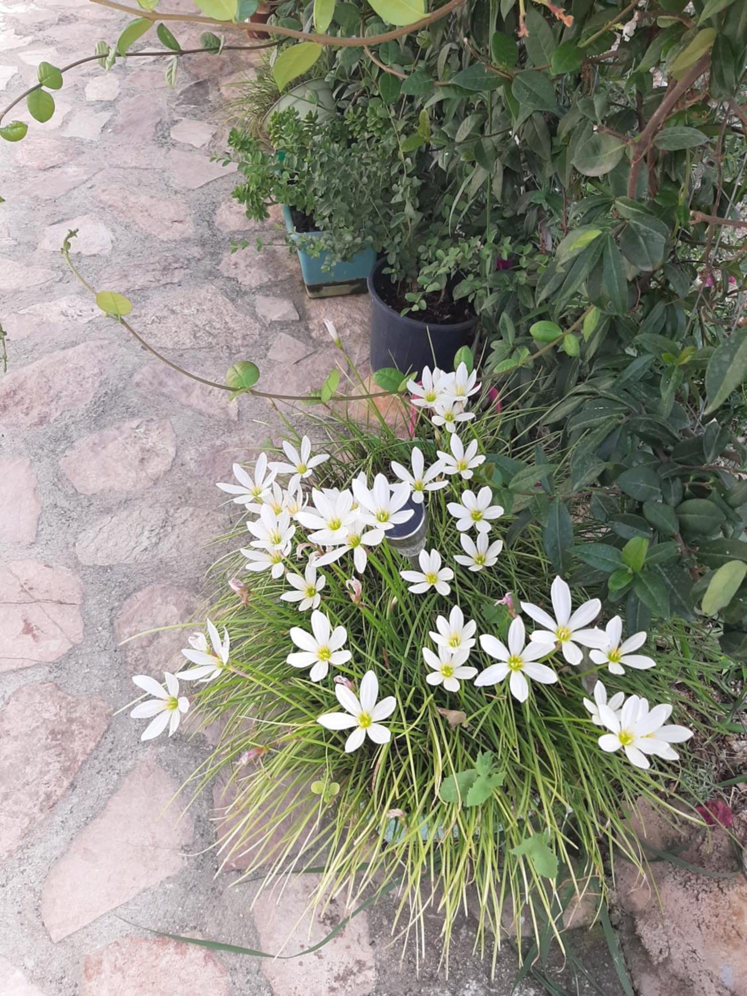 Denni'S Home Sarandë 外观 照片