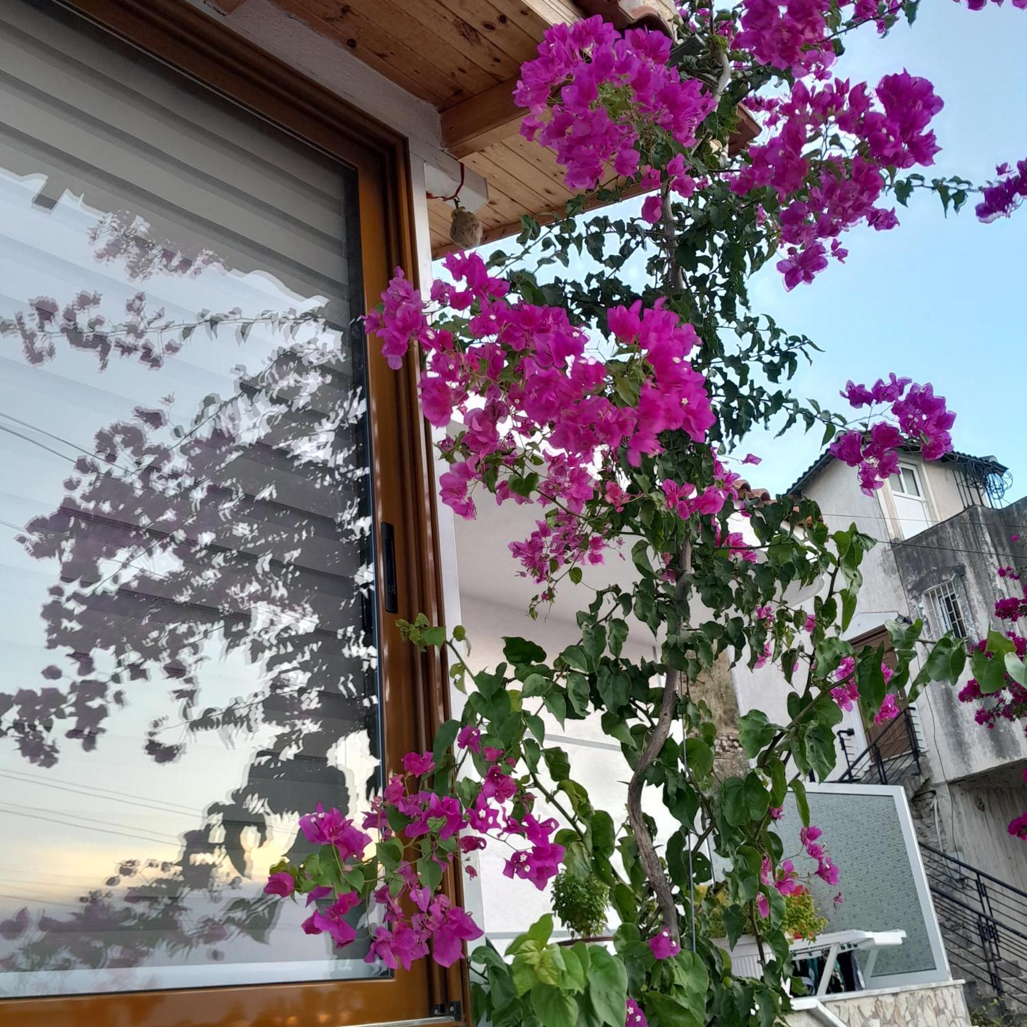 Denni'S Home Sarandë 外观 照片