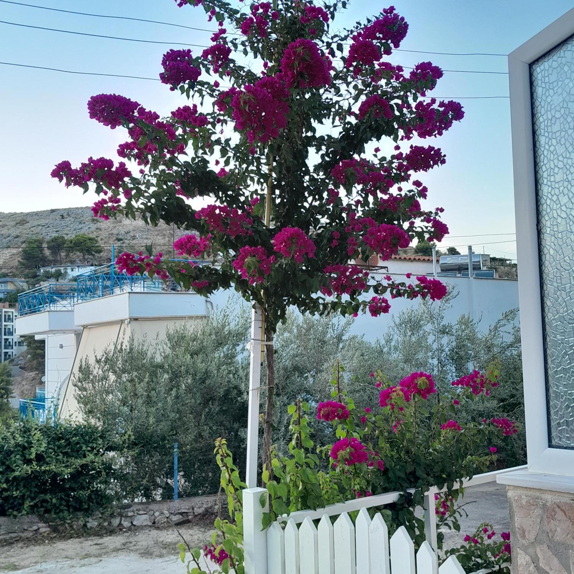 Denni'S Home Sarandë 外观 照片