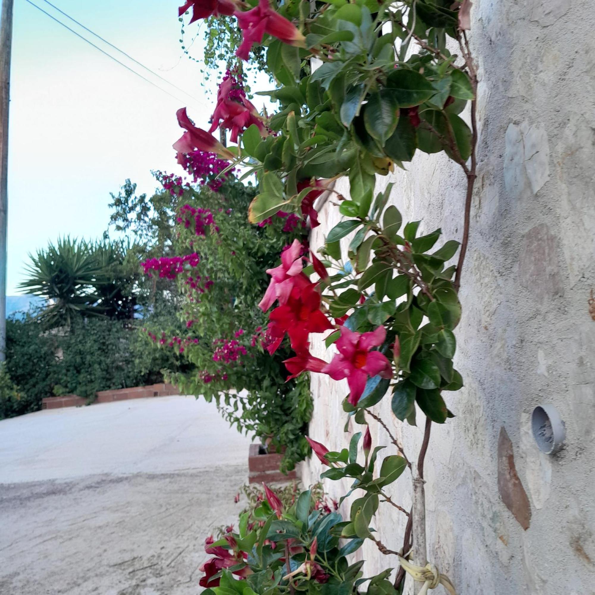 Denni'S Home Sarandë 外观 照片